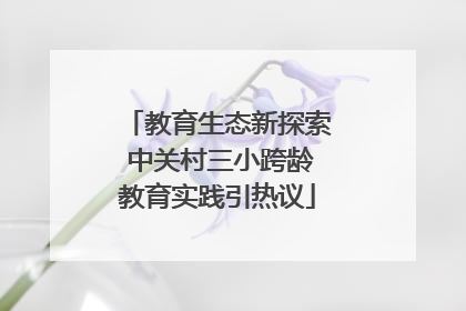 教育生态新探索 中关村三小跨龄教育实践引热议
