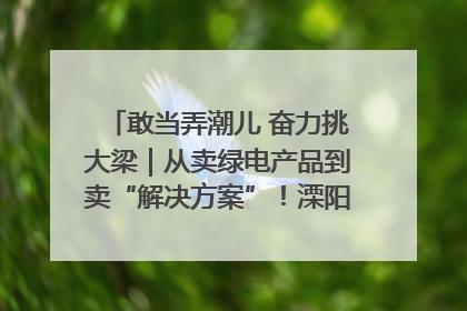 敢当弄潮儿 奋力挑大梁｜从卖绿电产品到卖“解决方案”！溧阳立足产业优势建成五大微电网示范项目