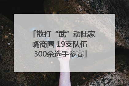 散打“武”动陆家嘴商圈 19支队伍300余选手参赛