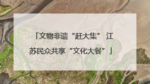 文物非遗“赶大集” 江苏民众共享“文化大餐”