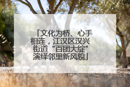 文化为桥、心手相连，江汉区汉兴街道“百团大绽”演绎邻里新风貌
