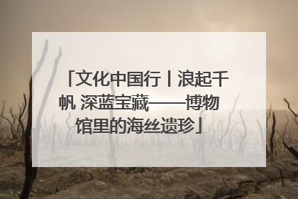 文化中国行丨浪起千帆 深蓝宝藏——博物馆里的海丝遗珍