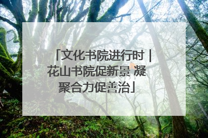 文化书院进行时｜花山书院促新景 凝聚合力促善治