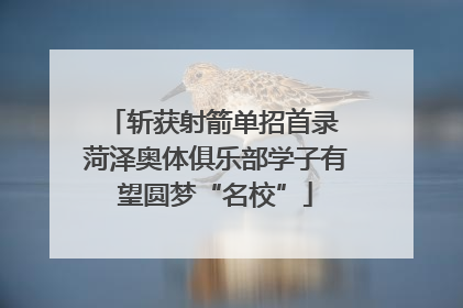 斩获射箭单招首录 菏泽奥体俱乐部学子有望圆梦“名校”