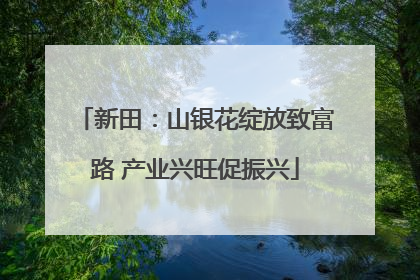 新田：山银花绽放致富路 产业兴旺促振兴