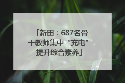 新田：687名骨干教师集中“充电” 提升综合素养
