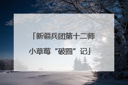 新疆兵团第十二师小草莓“破圈”记