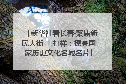 新华社看长春·聚焦新民大街 丨打样：擦亮国家历史文化名城名片