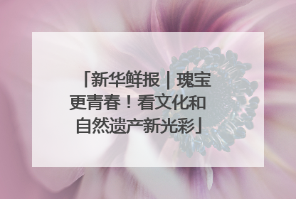 新华鲜报｜瑰宝更青春！看文化和自然遗产新光彩