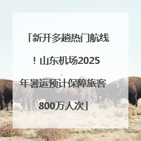 新开多趟热门航线！山东机场2025年暑运预计保障旅客800万人次