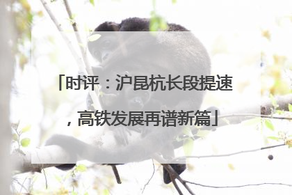 时评：沪昆杭长段提速，高铁发展再谱新篇