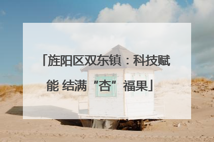 旌阳区双东镇：科技赋能 结满“杏”福果