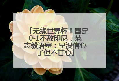 无缘世界杯！国足0-1不敌印尼，范志毅语塞：早没信心了但不甘心