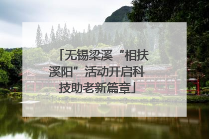 无锡梁溪“相扶溪阳”活动开启科技助老新篇章