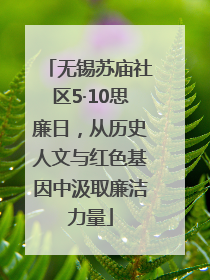 无锡苏庙社区5·10思廉日，从历史人文与红色基因中汲取廉洁力量