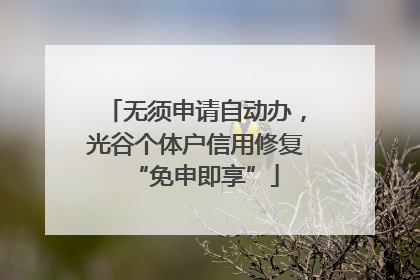 无须申请自动办，光谷个体户信用修复“免申即享”