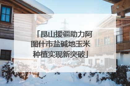 昆山援疆助力阿图什市盐碱地玉米种植实现新突破