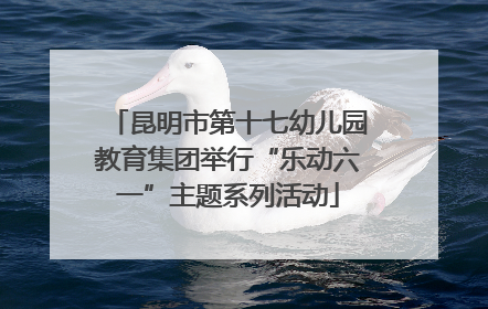 昆明市第十七幼儿园教育集团举行“乐动六一”主题系列活动