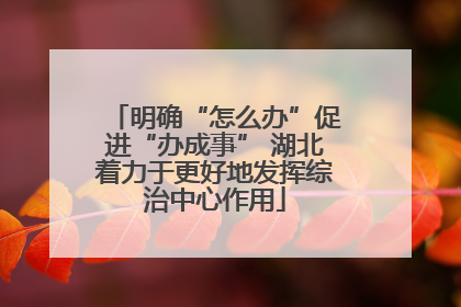 明确“怎么办”促进“办成事” 湖北着力于更好地发挥综治中心作用