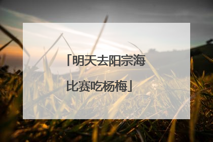 明天去阳宗海比赛吃杨梅