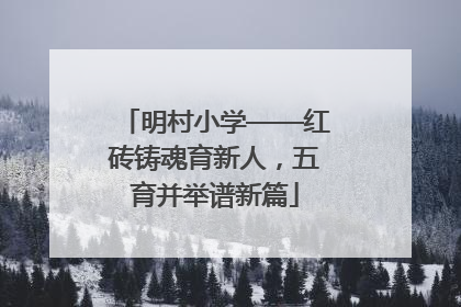 明村小学——红砖铸魂育新人，五育并举谱新篇