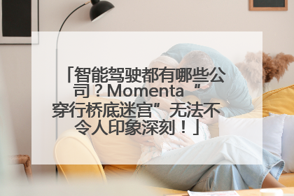 智能驾驶都有哪些公司？Momenta“穿行桥底迷宫”无法不令人印象深刻！