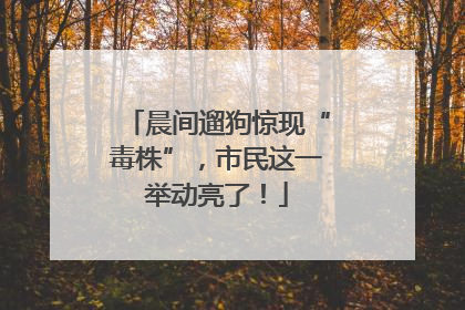 晨间遛狗惊现“毒株”，市民这一举动亮了！