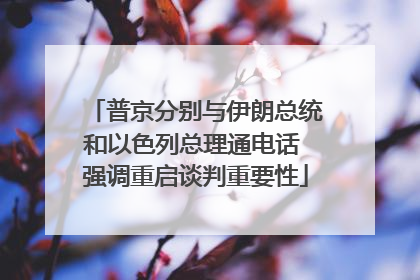 普京分别与伊朗总统和以色列总理通电话 强调重启谈判重要性