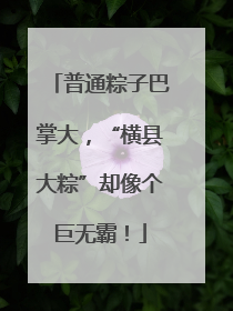 普通粽子巴掌大，“横县大粽”却像个巨无霸！