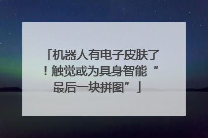 机器人有电子皮肤了！触觉或为具身智能“最后一块拼图”