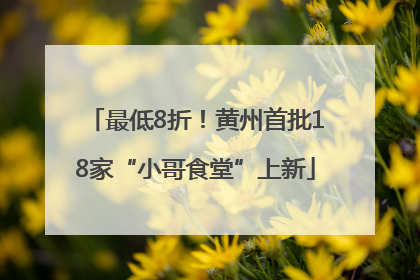最低8折！黄州首批18家“小哥食堂”上新