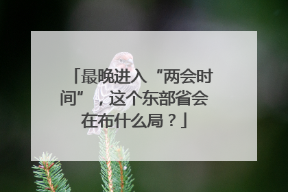 最晚进入“两会时间”，这个东部省会在布什么局？