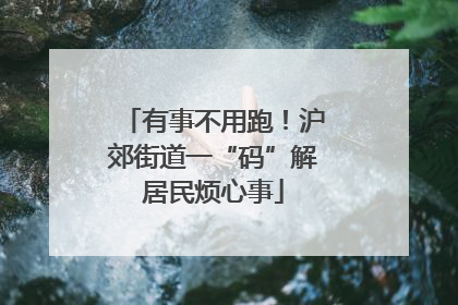 有事不用跑！沪郊街道一“码”解居民烦心事