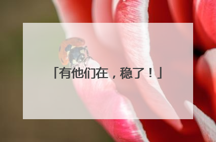 有他们在，稳了！