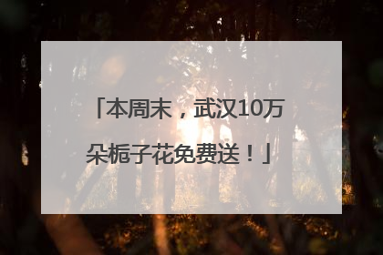 本周末，武汉10万朵栀子花免费送！