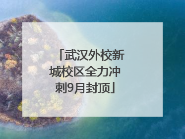 武汉外校新城校区全力冲刺9月封顶