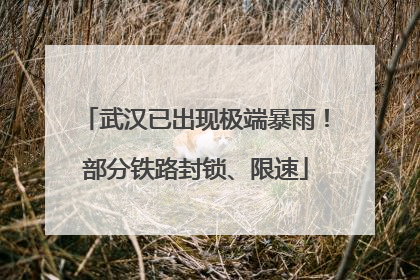 武汉已出现极端暴雨！部分铁路封锁、限速