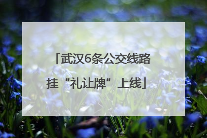 武汉6条公交线路挂“礼让牌”上线