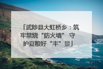 武陟县大虹桥乡：筑牢禁烧“防火墙” 守护夏粮好“丰”景