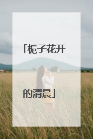 栀子花开的清晨