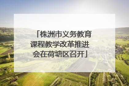 株洲市义务教育课程教学改革推进会在荷塘区召开