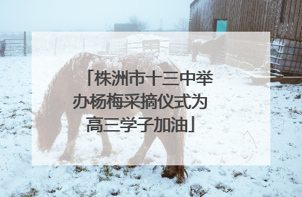 株洲市十三中举办杨梅采摘仪式为高三学子加油