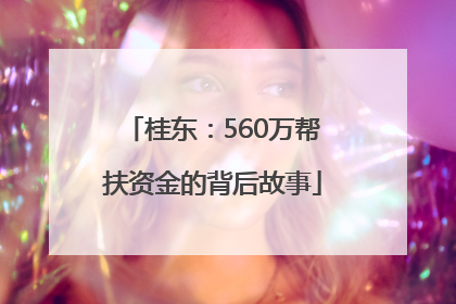 桂东：560万帮扶资金的背后故事