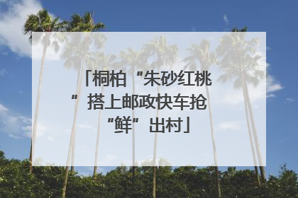 桐柏“朱砂红桃”搭上邮政快车抢“鲜”出村