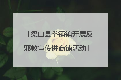 梁山县拳铺镇开展反邪教宣传进商铺活动