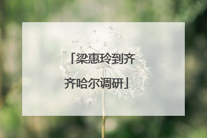 梁惠玲到齐齐哈尔调研