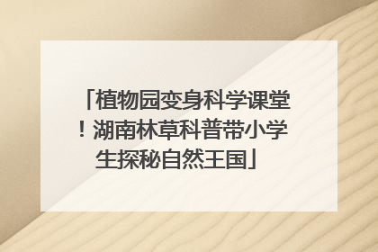 植物园变身科学课堂！湖南林草科普带小学生探秘自然王国