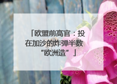 欧盟前高官：投在加沙的炸弹半数“欧洲造”