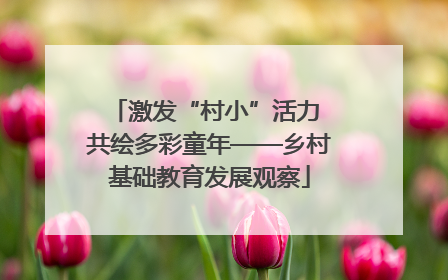 激发“村小”活力 共绘多彩童年——乡村基础教育发展观察