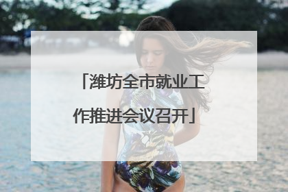 潍坊全市就业工作推进会议召开